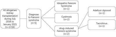 Drug-induced Fanconi syndrome in patients with kidney allograft transplantation